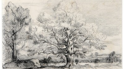 A landscape view with trees in the centre