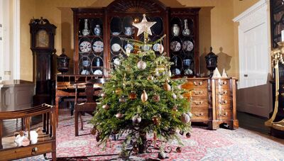 A Cannon Hall Christmas - Festive Fur Photoshoot