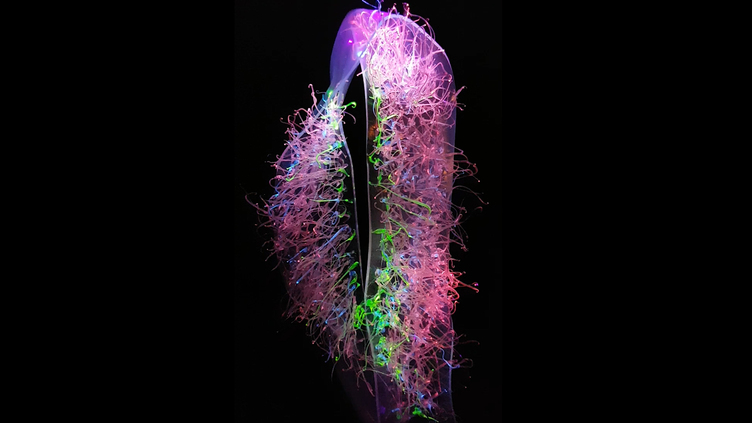 Abstract image representing neurons in the brain with colours of pinks and greens