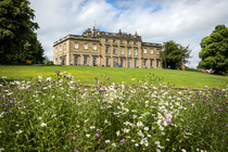 Cannon Hall Museum on a sunny day