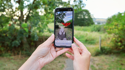 Person using a smartphone outdoors with an AR app showing a red bird over a nature scene