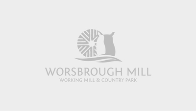 A perfect pond for Worsbrough Mill