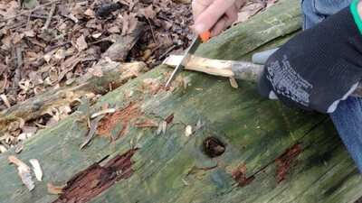 Person whitling a stick with knife