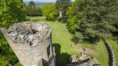Ranger Rambles at Wentworth Castle Gardens