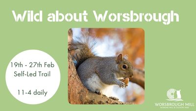 Wild About Worsbrough Rubbing Trail