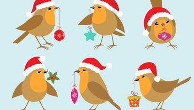 The Twelve Birds of Christmas