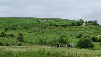 People making their way up the hill in the country park