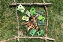 Pile of sticks on green grass