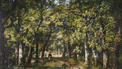 A forest scene