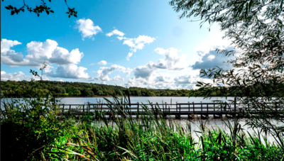 Worsbrough Mill Country Park Reservoir Improvement Update Event