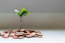 Plant growing out of a small pile of coins