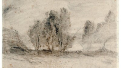 a landscape scene with various trees