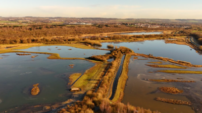 Aerial view of a wetland nature reserve with winding waterways, small islands, green patches, and distant trees under a clear blue sky.