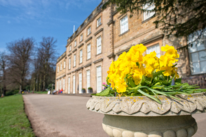 Front shot of Cannon Hall on a sunny day with yellow flowers in a stone pot