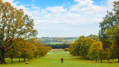 Easter Adventures Trail